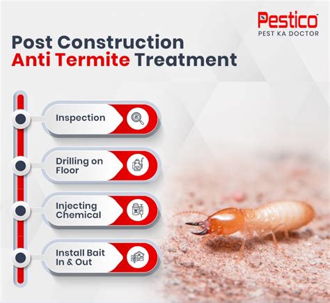 termite service thunderbolt
